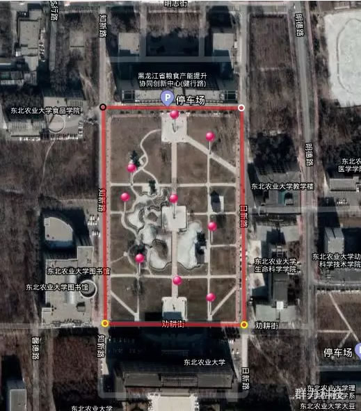 1563267024786448.jpg 19.jpg