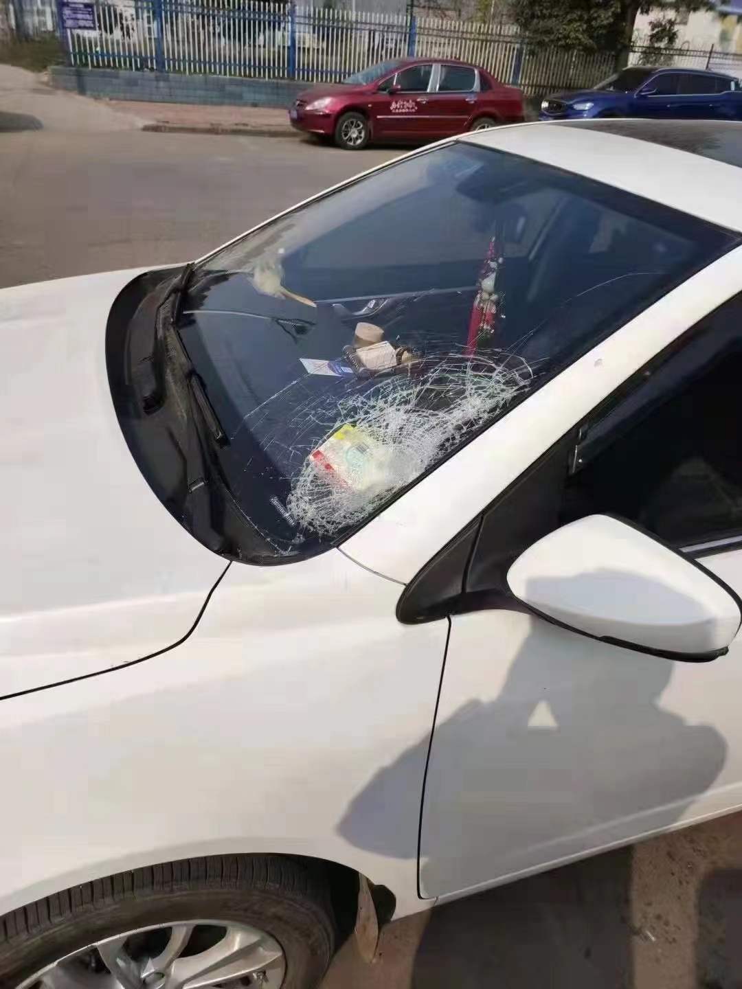 1640853850844972.jpg 1640853850844972.jpg