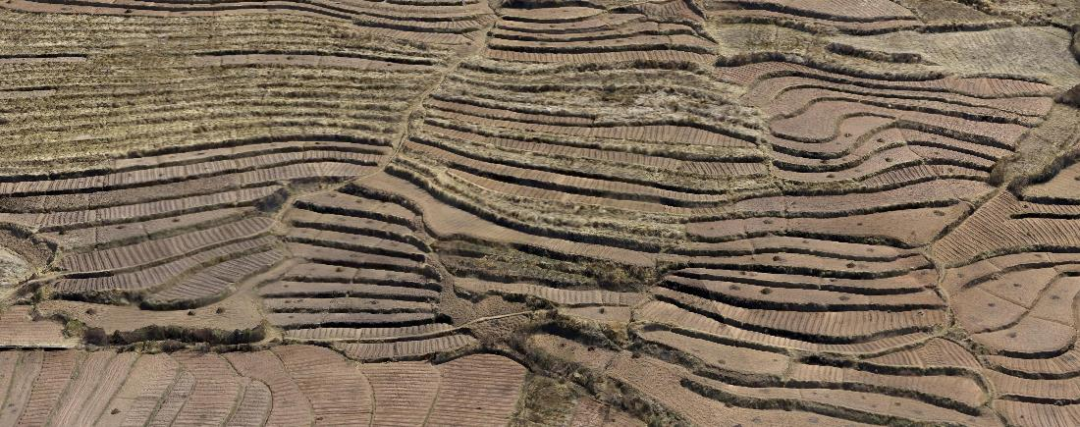 1651139877632610.png 1651139877632610.png