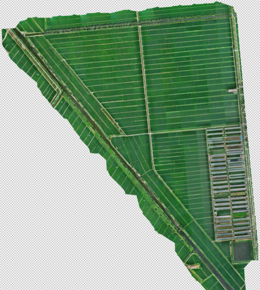 1651196689101550.png