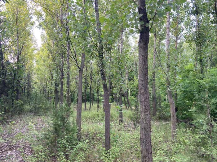 1657854365114658.jpg 4.jpg