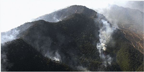 1672307040136496.png 圖片7.png