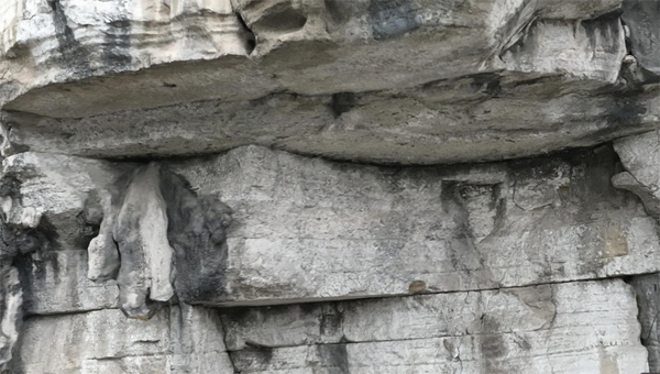 1675998127191233.png 圖片16.png