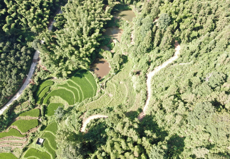 1682324038105677.png 圖片2.png